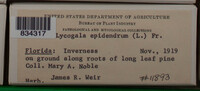 Image Associated With the Occurence